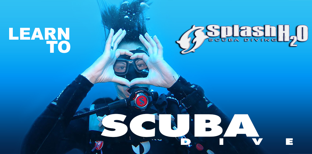 Learn to SCUBA_DIVE